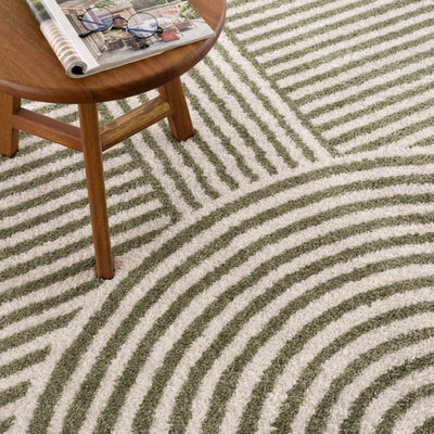 Allard Green Washable Area Rug