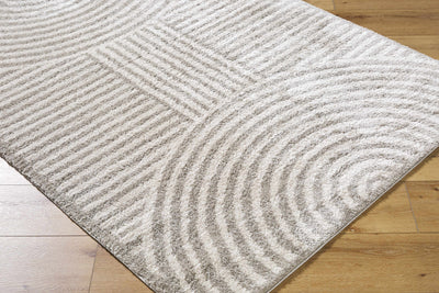 Allard Gray Washable Area Rug