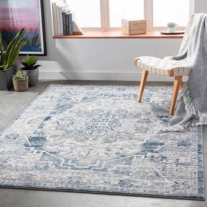 ISABELLA Vintage Traditional Oriental Boho Medium Grey Area Rug Roomscene