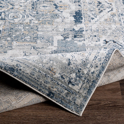 ISABELLA Vintage Traditional Oriental Boho Medium Grey Area Rug Fold