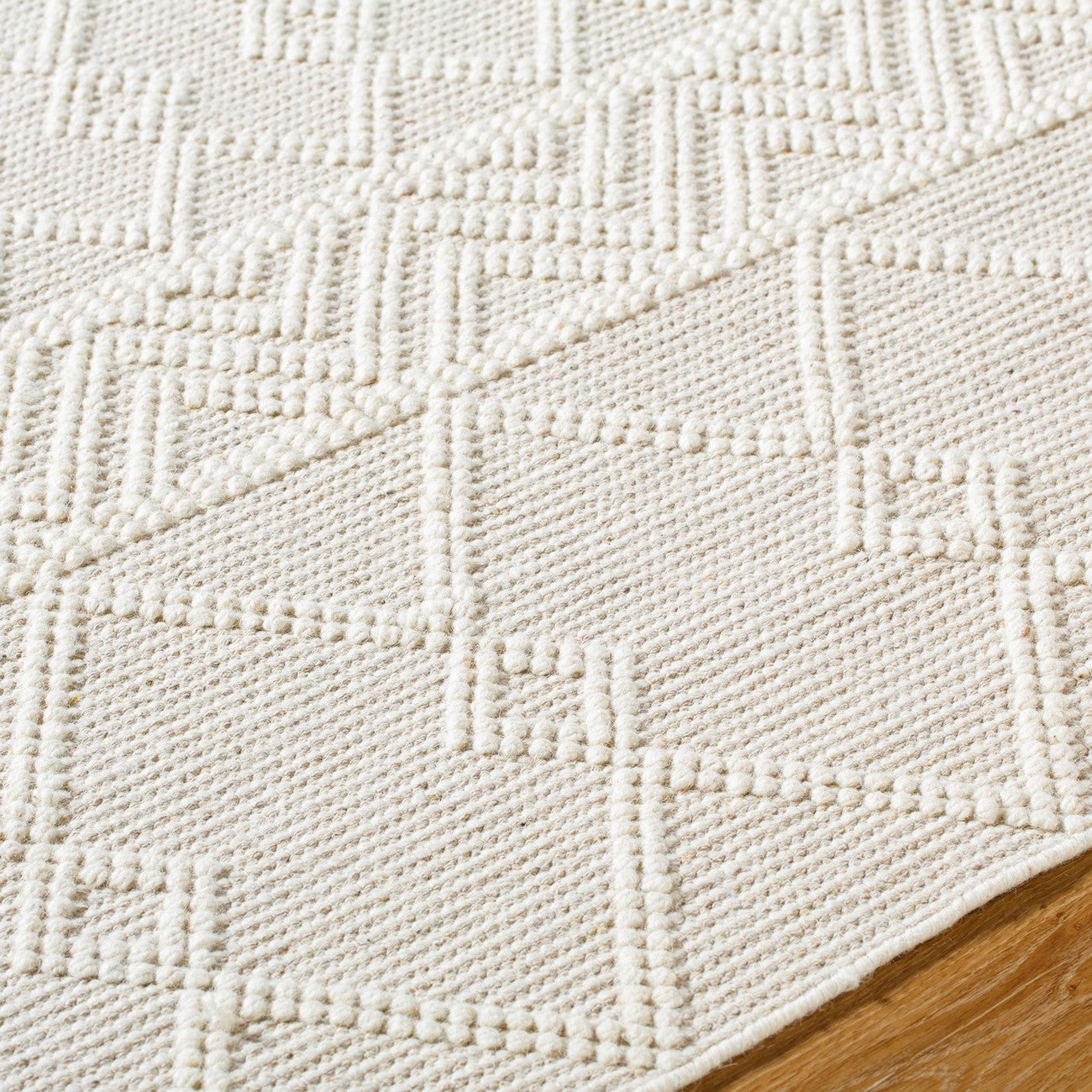 ISHANI Hand-Woven Global Wool Beige Area Rug Texture