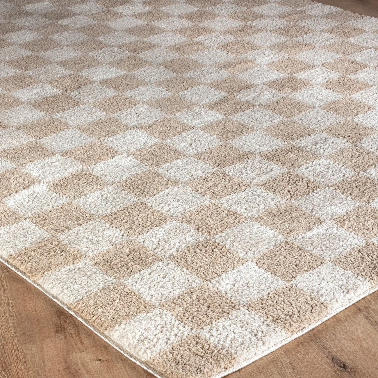 IZALINE Machine Washable Modern Shaggy Beige Area Rug Corner