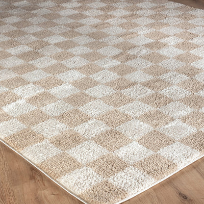 IZALINE Machine Washable Modern Shaggy Beige Area Rug Corner