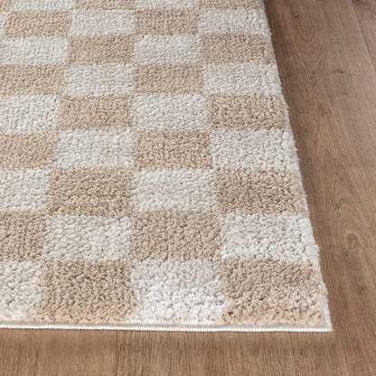 IZALINE Machine Washable Modern Shaggy Beige Area Rug Front