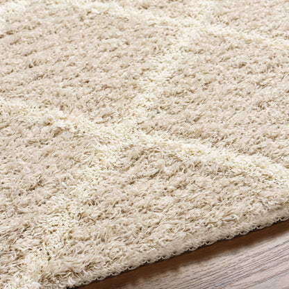 JANE Shaggy Cottage Plush Pile Beige Area Rug Texture