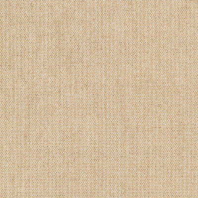 Custom Size Jayla Light Brown Rug