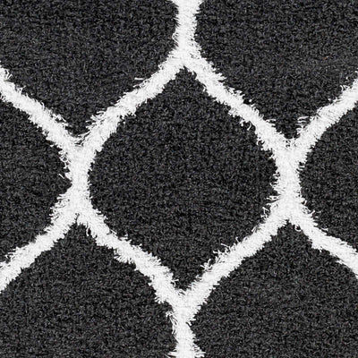 Sample Jody Shag Area Rug