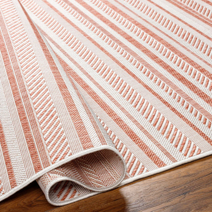 KAVITA Indoor & Outdoor Global Coral/Pink Area Rug