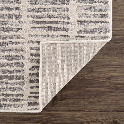 Aricin Gray Area Rug