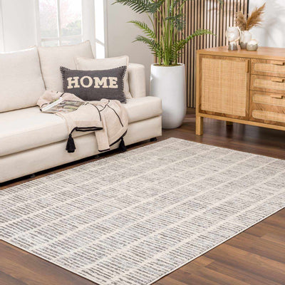 Aricin Gray Area Rug