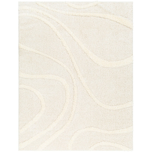 KOTIRA Shaggy Modern Plush Pile Beige Area Rug Flat