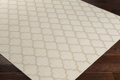 Custom Size Leora Beige Rug