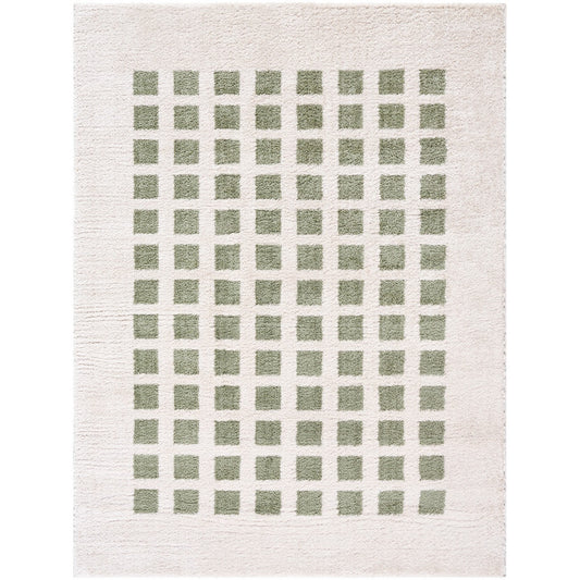 LAURINE Machine Washable Modern Shaggy Grass Green Area Rug Flat