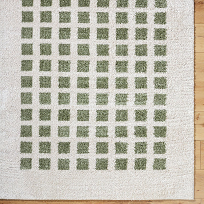 LAURINE Machine Washable Modern Shaggy Grass Green Area Rug Overhead
