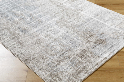 Audeia Area Rug