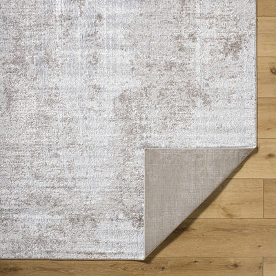 Audeia Area Rug