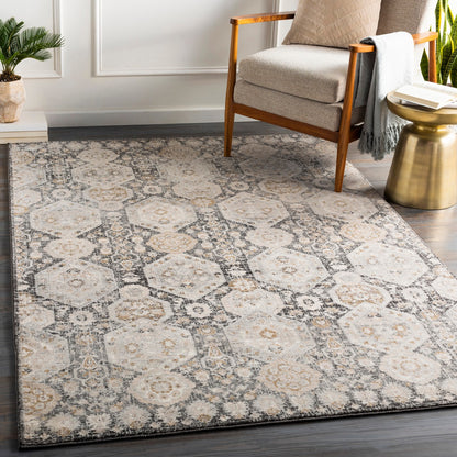 LOTUS Vintage Traditional Oriental Boho Black Area Rug Roomscene