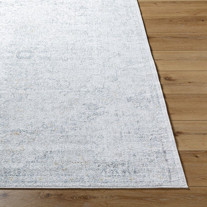LOU Vintage Oriental Boho Medium Grey Area Rug Front