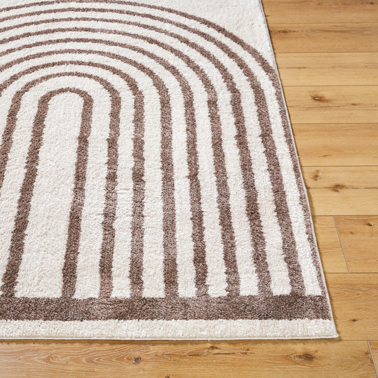 LUCILE Machine Washable Modern Shaggy Dark Brown Area Rug Front