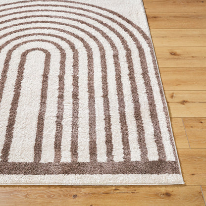 LUCILE Machine Washable Modern Shaggy Dark Brown Area Rug Front