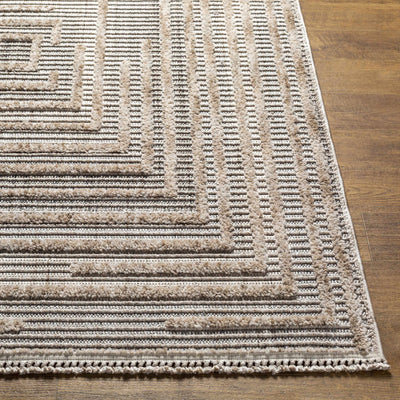 Lunao Elegant High/Low Area Rug