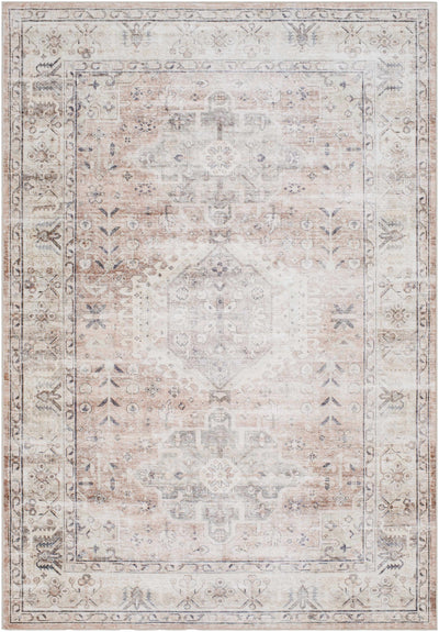 Sample Laran Taupe Distressed Washable Area Rug