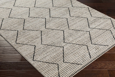 Maonon Area Rug - Clearance