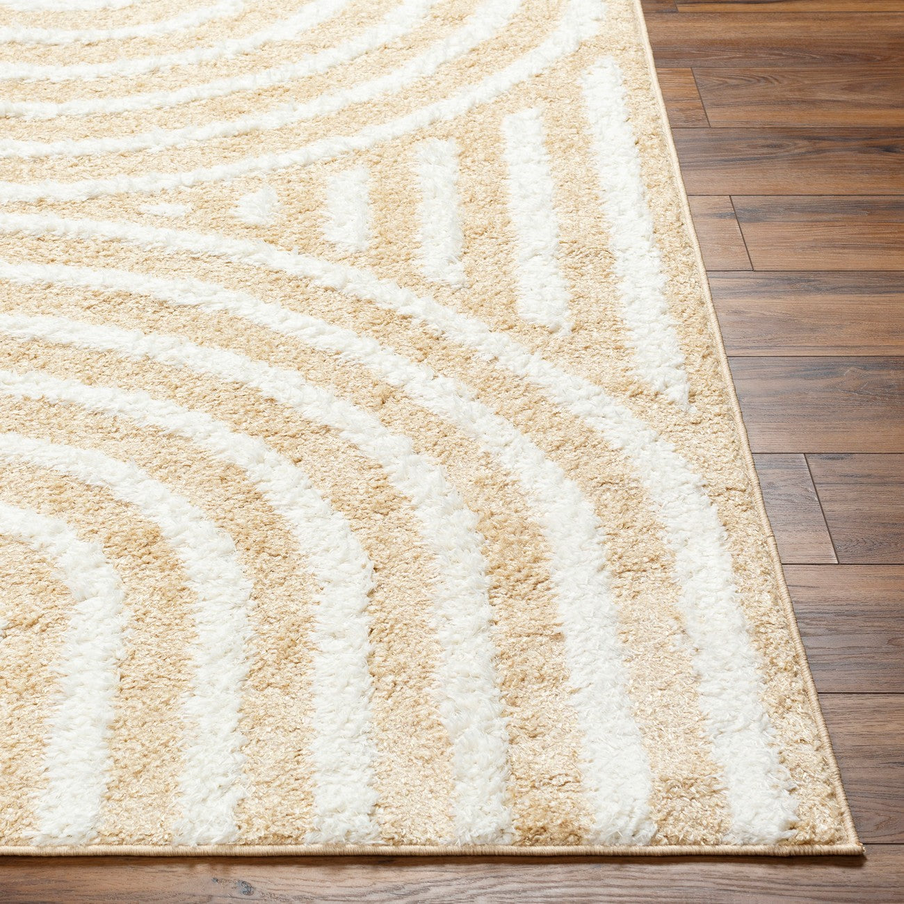 MARAVA Shaggy Modern Plush Pile Light Orange Area Rug