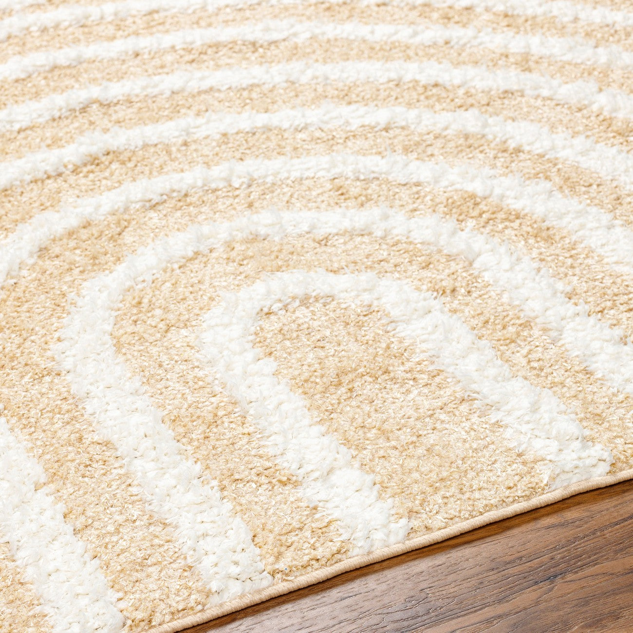 MARAVA Shaggy Modern Plush Pile Light Orange Area Rug