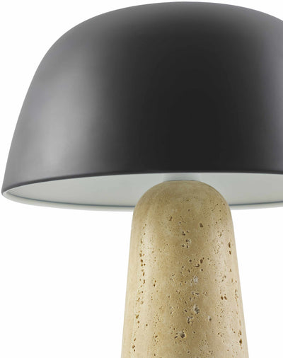 Enriquillo Table Lamp