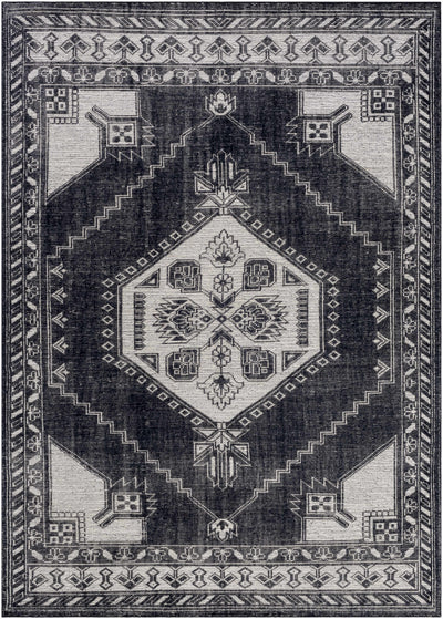 Minapan Area Rug