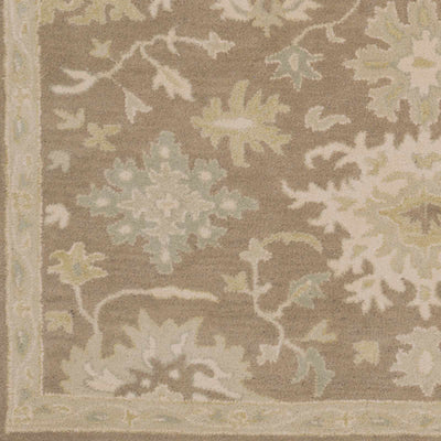 Sample Hazen Hand Tufted Beige 1149 Area Rug