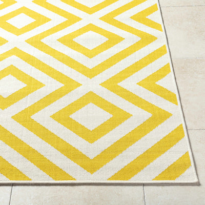 Sample Maven Area Rug