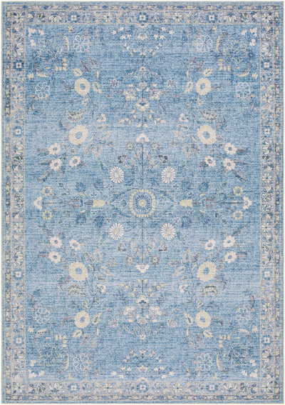 Sample Meyly Blue Washable Area Rug