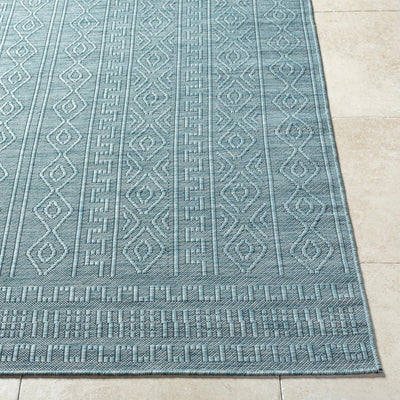 Sample Nuela Area Rug