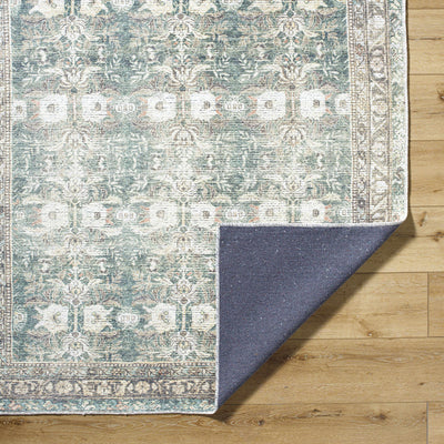 Walta Washable Area Rug