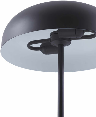 Aquilonia Table Lamp