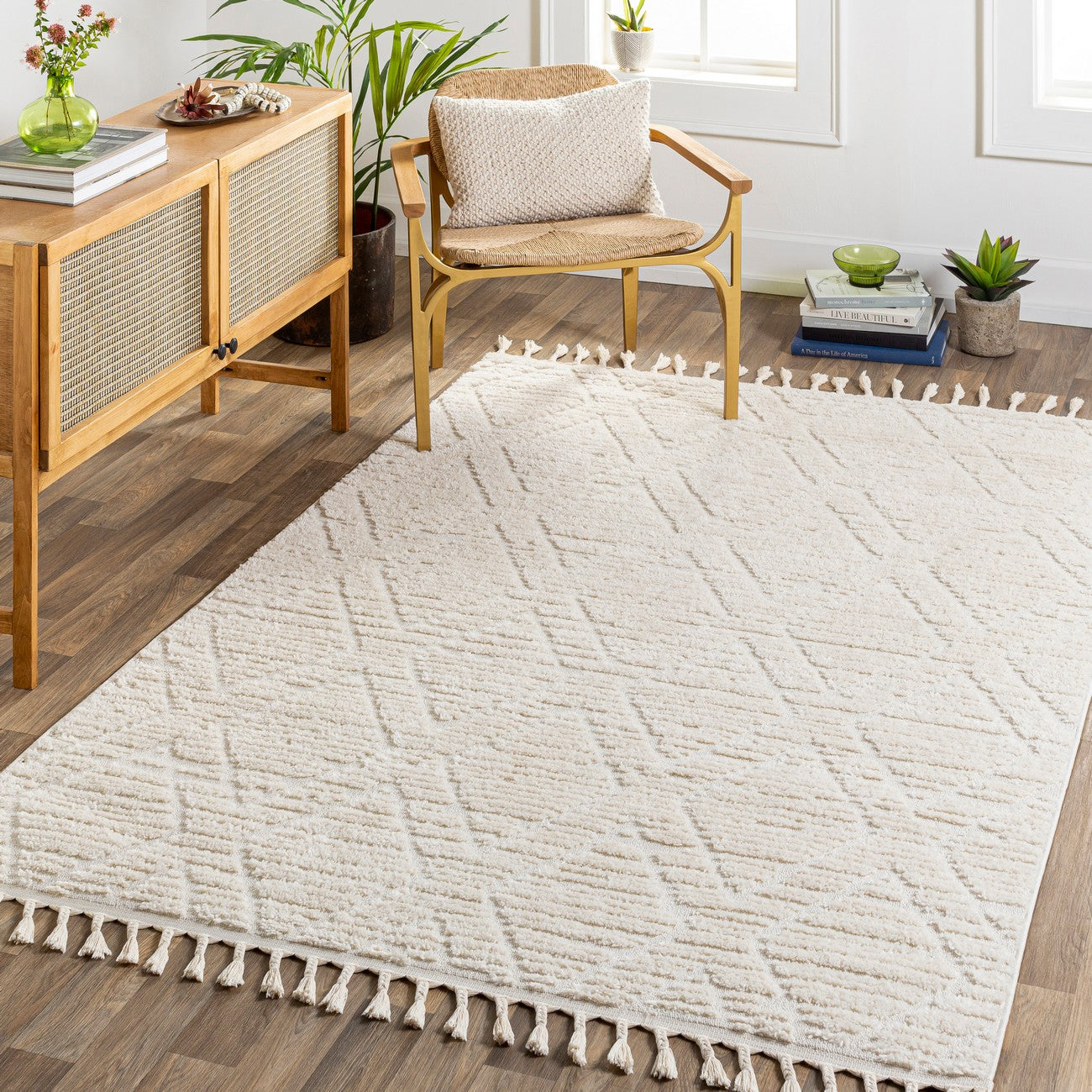 JASMINE Berber High Pile Geometric Beige Area Rug Roomscene
