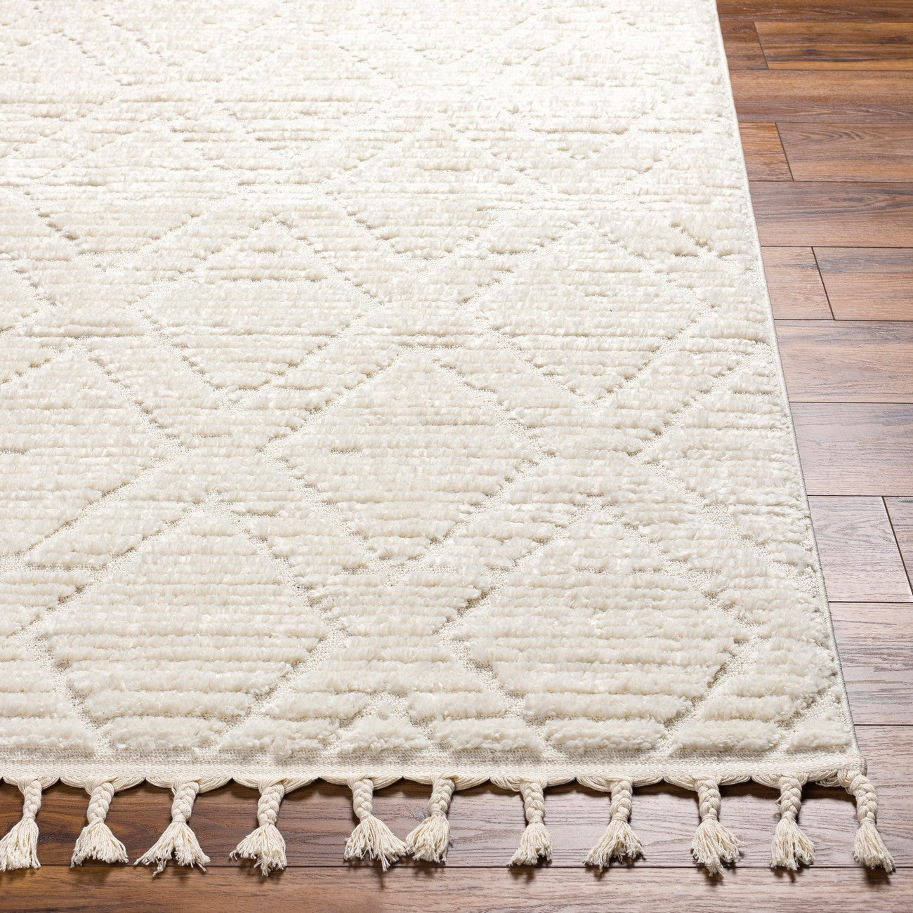JASMINE Berber High Pile Geometric Beige Area Rug Front