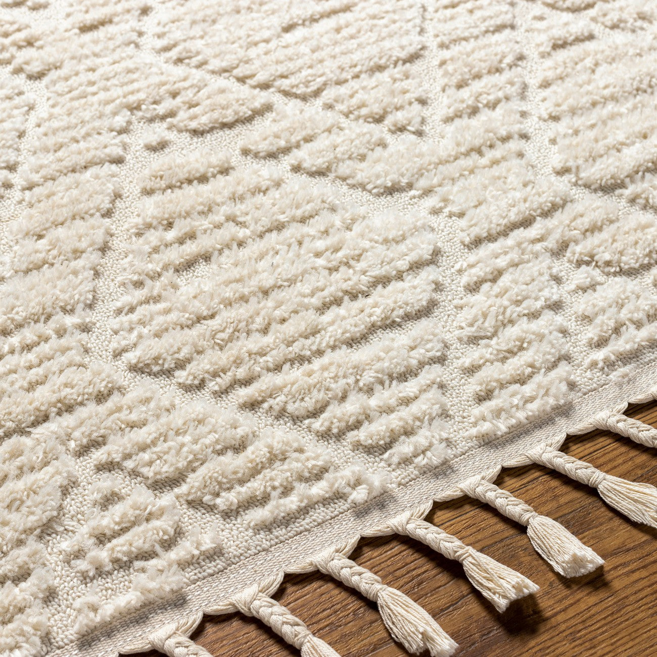 JASMINE Berber High Pile Geometric Beige Area Rug Texture