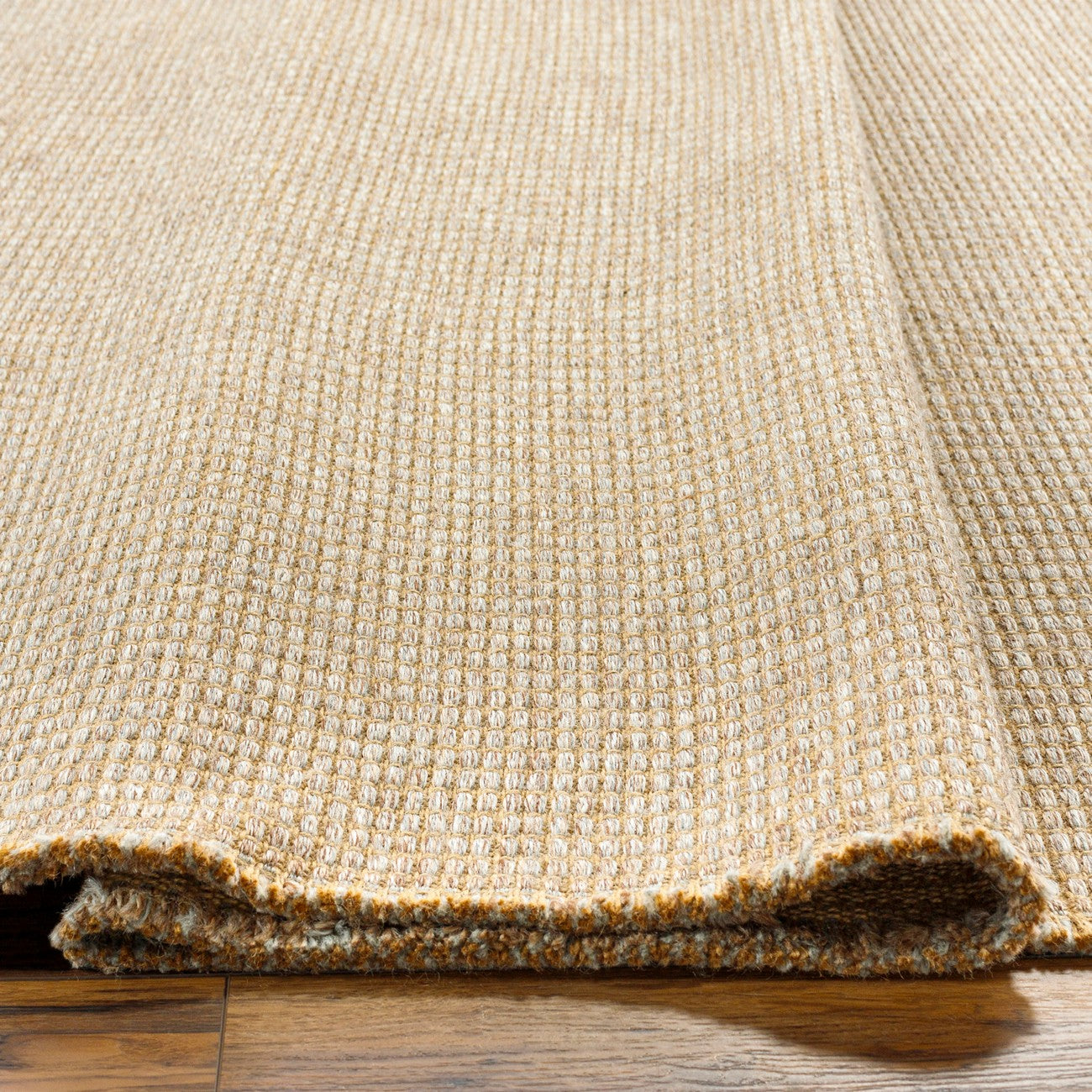 PAVI Becki Owens x Livabliss Solid and Border Taupe Jute Area Rug Texture