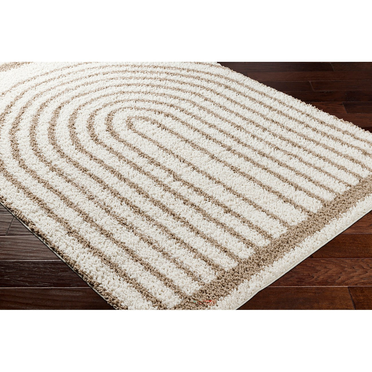 PIHU Shaggy Global Plush Pile Cream Area Rug