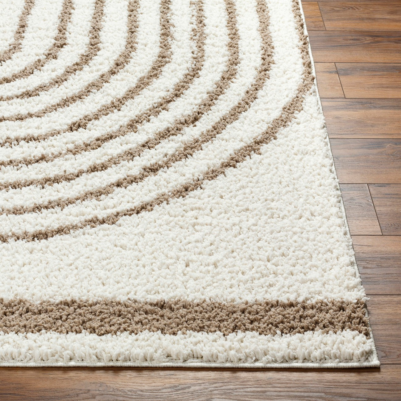 PIHU Shaggy Global Plush Pile Cream Area Rug