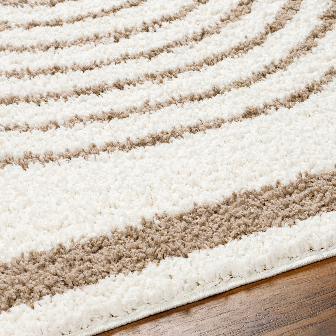 PIHU Shaggy Global Plush Pile Cream Area Rug