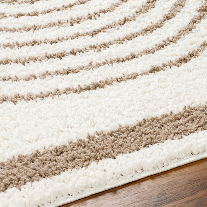 PIHU Shaggy Global Plush Pile Cream Area Rug