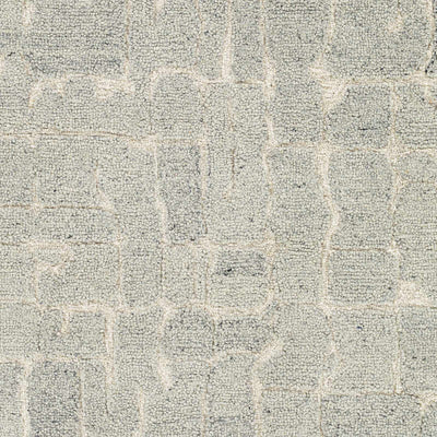 Sample Posof Area Rug