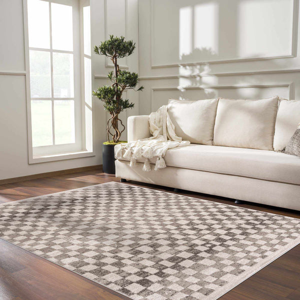 Benjy Irregular Checkboard Rug - Beige