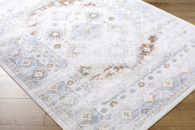 Agaton Blue & Brown Washable Area Rug