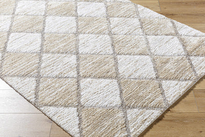 Aideen Cream Shag Area Rug