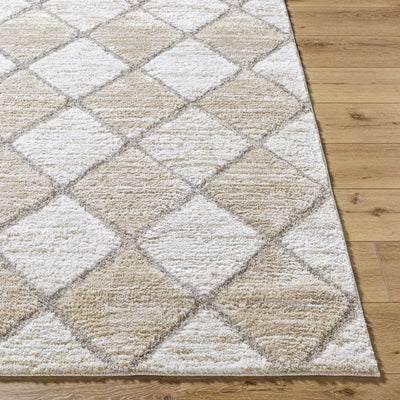 Aideen Cream Shag Area Rug